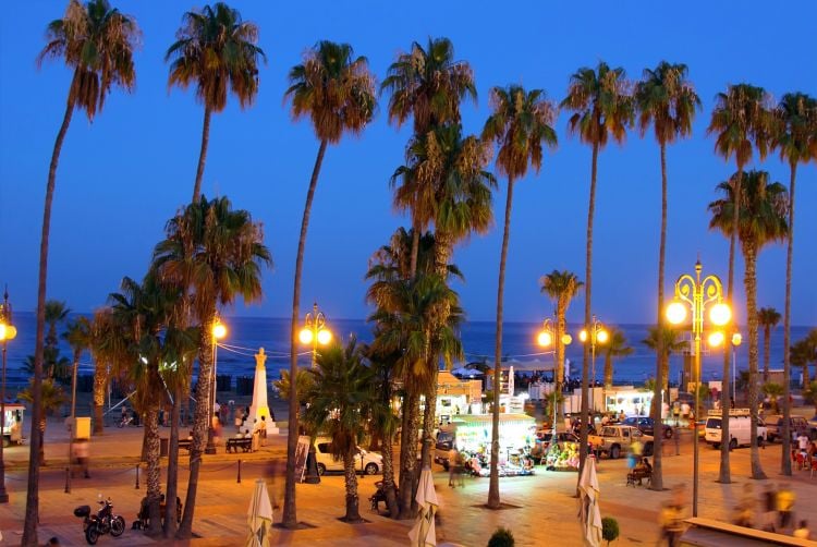 Palm trees and street lights on the Finikoudes promenade at dusk